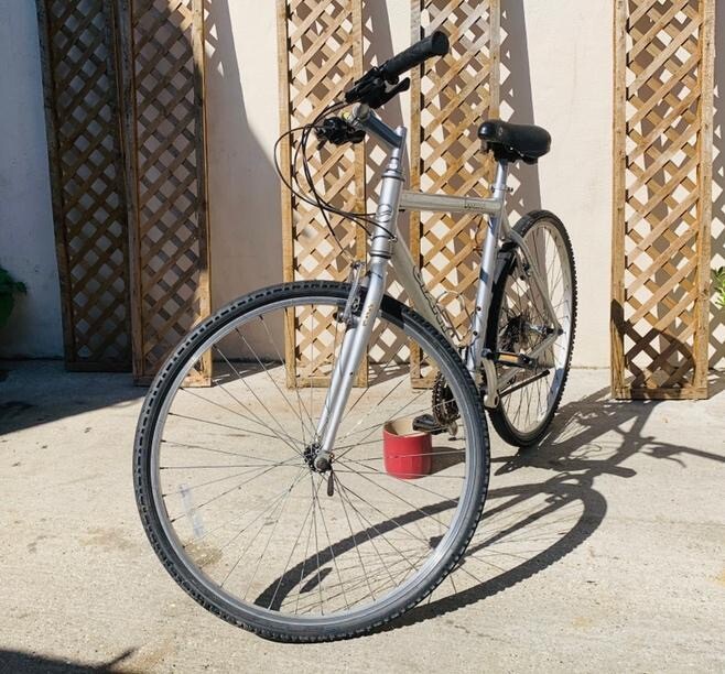 giant expression mens bike